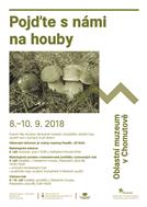 Plakát Houby