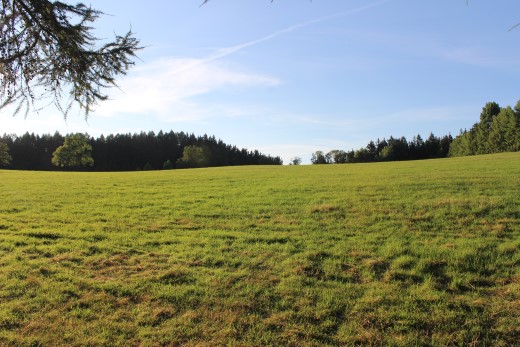 ČSCH Mikulášovice