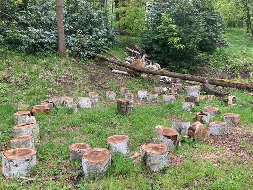 Dětský domov v Krásné Lípě buduje komunitní zahradu