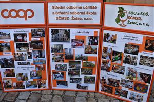 Žatecký Cup 2022 (foto: Petr Kinšt)