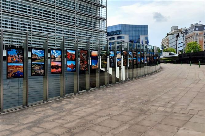 Výstava v Bruselu