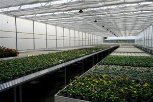 Nové skleníky zahradnické a zemědělské školy