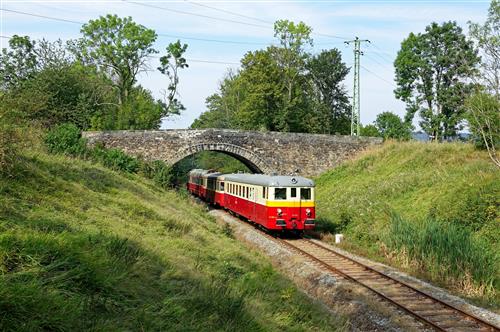 T11