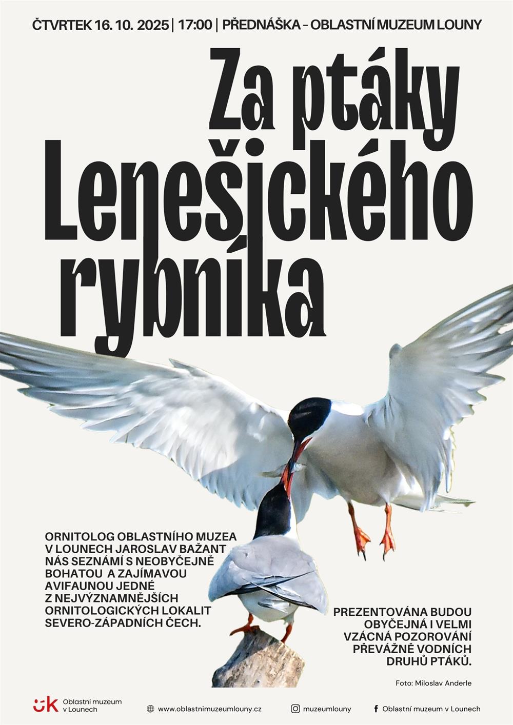 přednáška