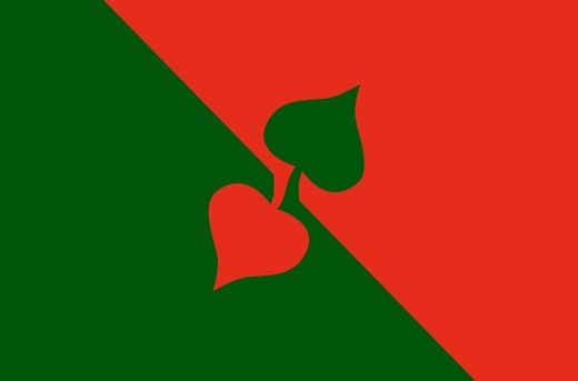 06