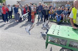 Tradiční vypuštění holubic z klece