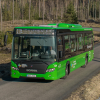 zeleny autobus