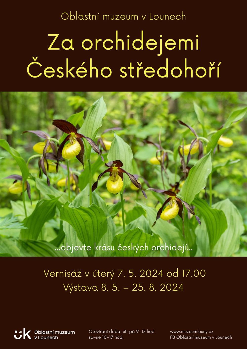 výstava Orchideje Českého středohoří